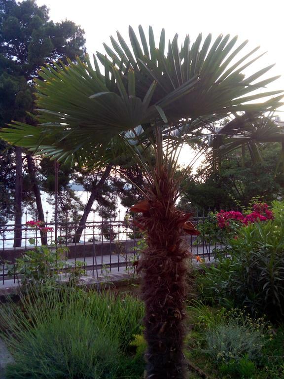 Sirena Apartament Zadar